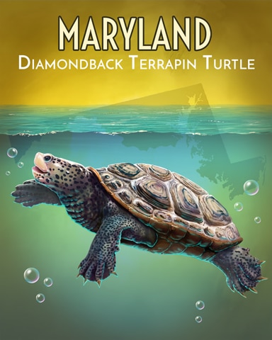 Diamondback Terrapin Turtle Wild America Badge - Tri-Peaks Solitaire HD