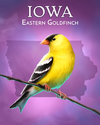 Eastern Goldfinch Wild America Badge - World Class Solitaire HD