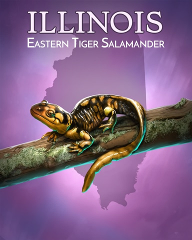 Eastern Tiger Salamander Wild America Badge - Rainy Day Spider Solitaire HD