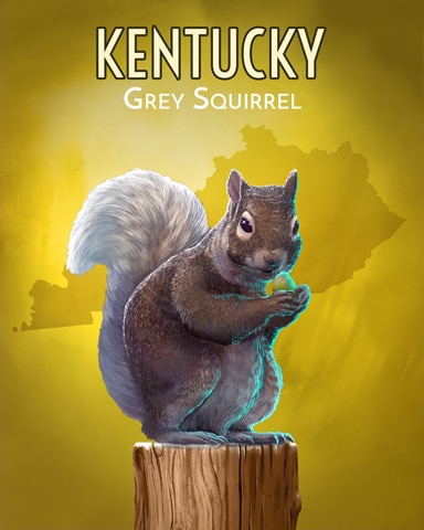 Grey Squirrel Wild America Badge - Dice City Roller HD