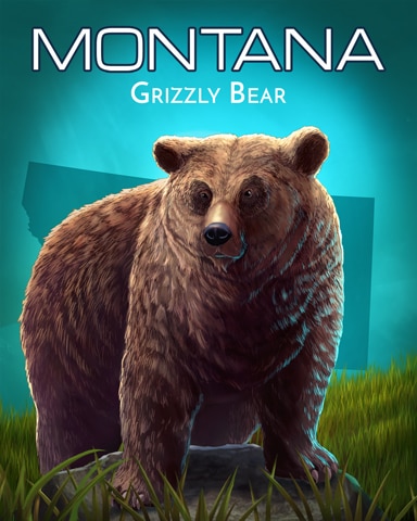 Grizzly Bear Wild America Badge - Rainy Day Spider Solitaire HD