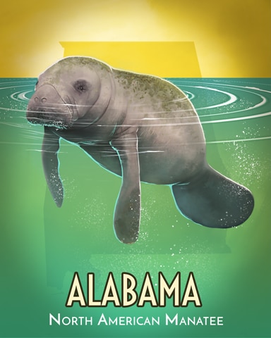 Manatee Wild America Badge - Jungle Gin HD