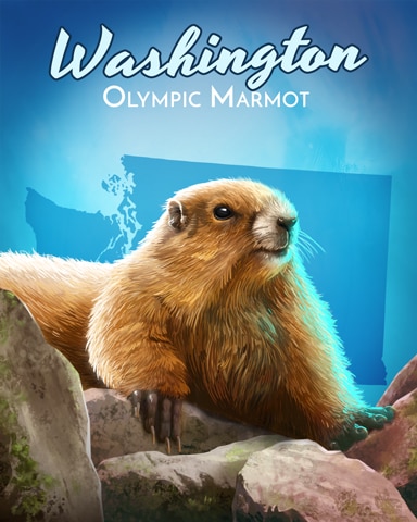 Olympic Marmot Wild America Badge - Word Whomp HD