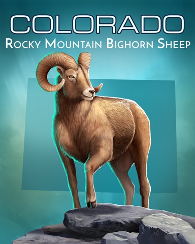 Rocky Mountain Bighorn Sheep Wild America Badge - Mahjong Garden HD