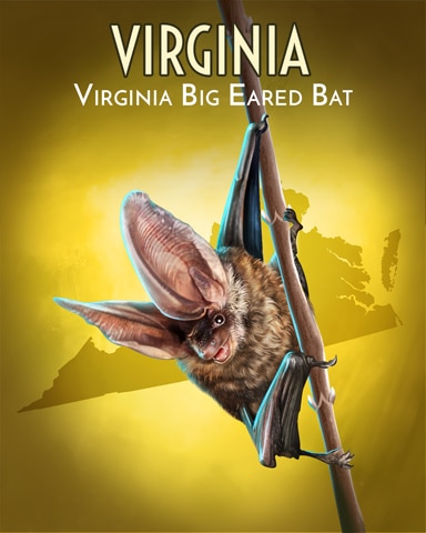 Virginia Big-Eared Bat Wild America Badge - Pogo™ Slots