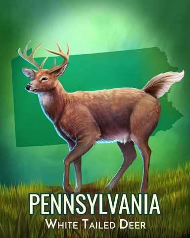 Pennsylvania White-Tailed Deer Wild America Badge - Canasta HD