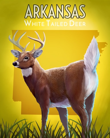 Arkansas White-Tailed Deer Wild America Badge - Mahjong Safari HD