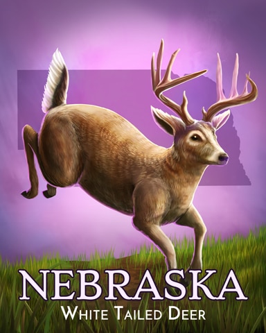 Nebraska White-Tailed Deer Wild America Badge - Spades HD