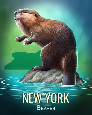 Beaver Wild America Badge - Word Whomp HD