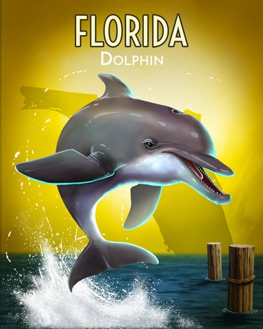 Dolphin Wild America Badge - Canasta HD