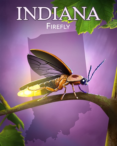 Firefly Wild America Badge - Canasta HD