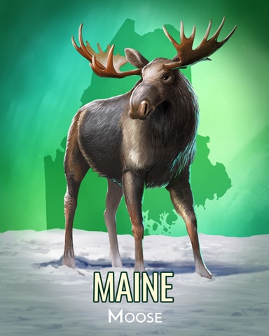 Moose Wild America Badge - Spades HD