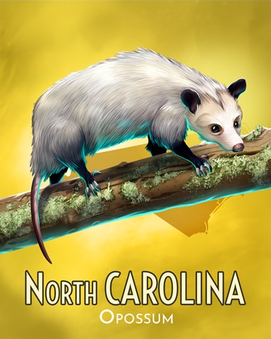 Opossum Wild America Badge - Mahjong Safari HD