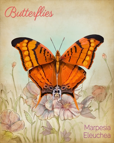 Antillean Daggerwing Butterfly Badge - Poppit! Bingo