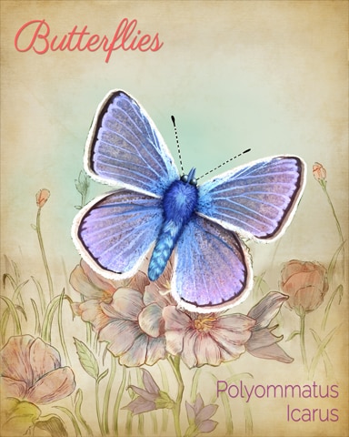 European Common Blue Butterfly Badge - Spades HD