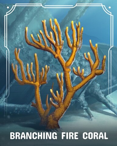 Branching Fire Corals Badge - First Class Solitaire HD