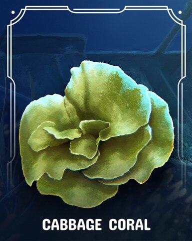 Cabbage Corals Badge - Canasta HD