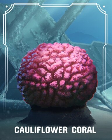 Cauliflower Corals Badge - Tri-Peaks Solitaire HD