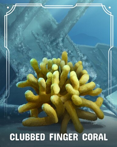 Clubbed Finger Corals Badge - First Class Solitaire HD