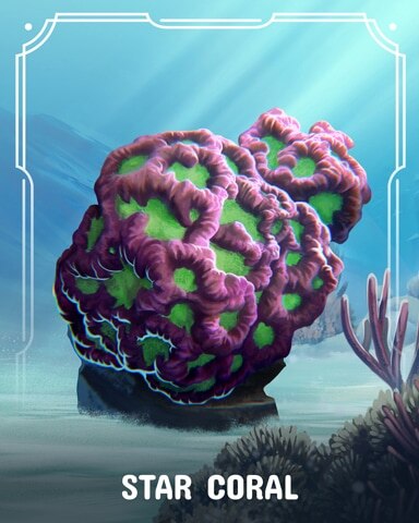 Colorful Star Corals Badge - Tri-Peaks Solitaire HD