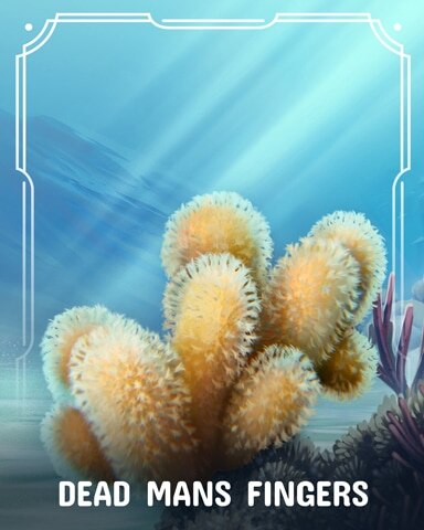 Dead Man's Fingers Corals Badge - Jungle Gin HD