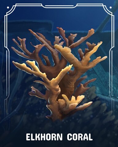 Elkhorn Corals Badge - Spades HD