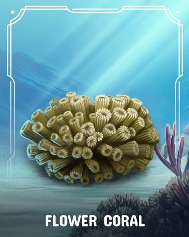 Flower Corals Badge - Canasta HD