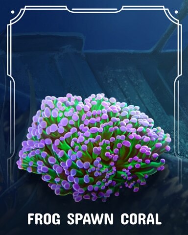 Frog Spawn Corals Badge - Poppit! Bingo