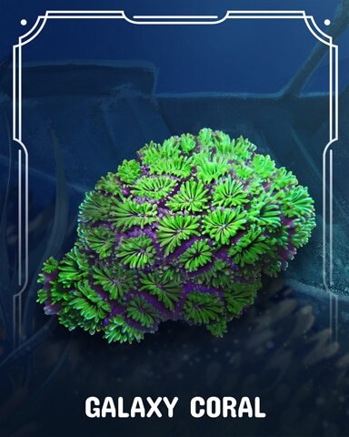 Galaxy Corals Badge - First Class Solitaire HD