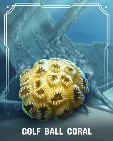 Golf Ball Corals Badge - Aces Up! HD