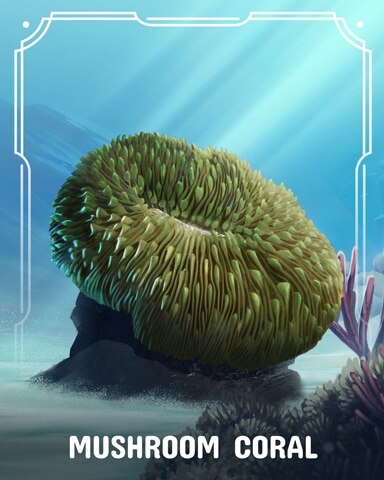 Mushroom Corals Badge - Jungle Gin HD