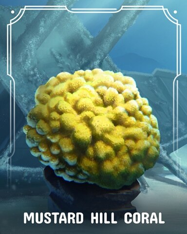 Mustard Hill Corals Badge - Word Whomp HD