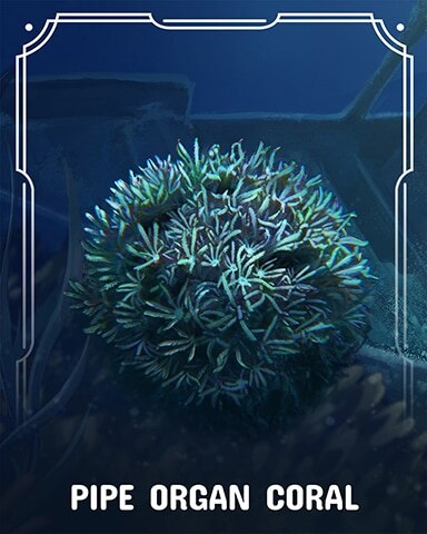 Pipe Organ Corals Badge - Jungle Gin HD