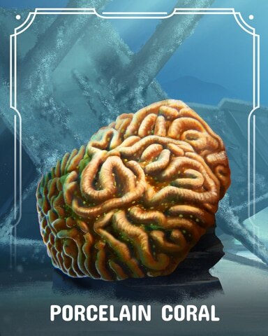 Porcelain Corals Badge - Canasta HD