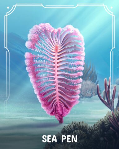 Sea Pen Corals Badge - Canasta HD