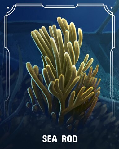 Sea Rod Corals Badge - Jungle Gin HD