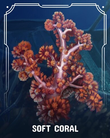 Soft Corals Badge - First Class Solitaire HD