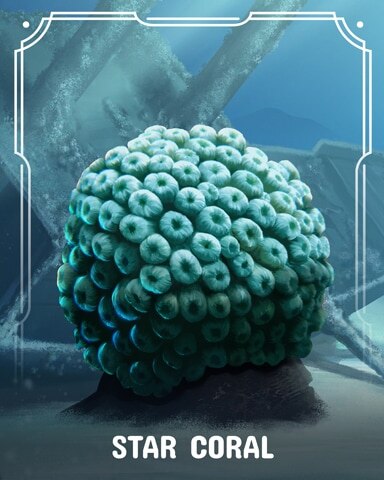 Star Corals Badge - Canasta HD