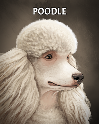 Poodle Badge - Lottso! Express HD