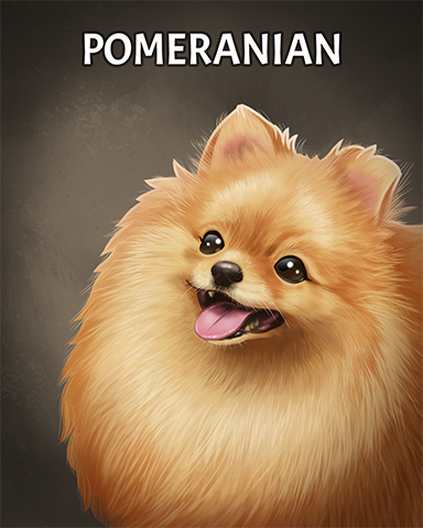 Pomeranian Badge - Claire Hart: Secret In The Shadows