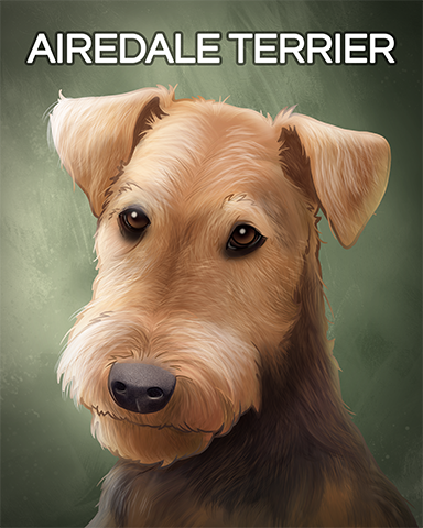 Airedale Terrier Badge - Canasta HD