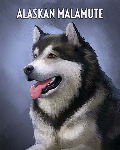 Alaskan Malamute Badge - Turbo 21 HD