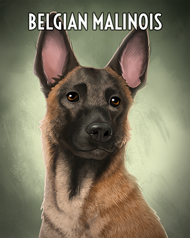 Belgian Malinois Badge - Spades HD