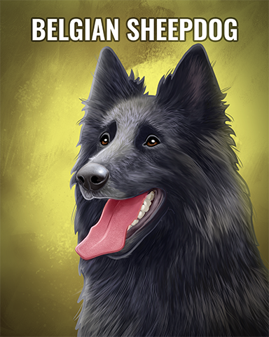 Belgian Sheepdog Badge - Peggle Slots