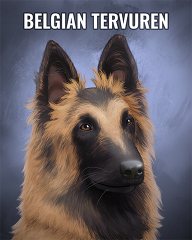 Belgian Tervuren Badge - Claire Hart: Secret In The Shadows