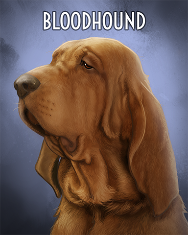 Blood Hound Badge - First Class Solitaire HD