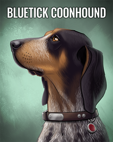 Bluetick Coonhound Badge - Word Whomp HD