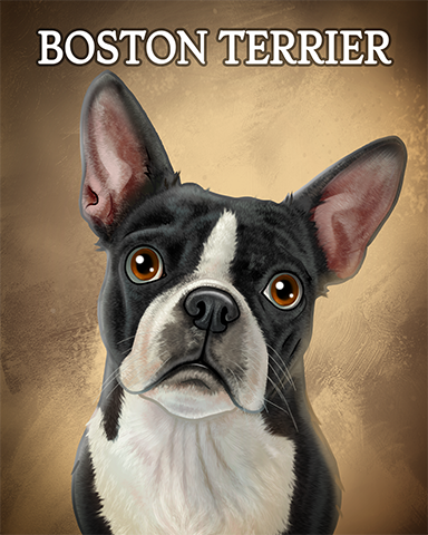 Boston Terrier Badge - Hog Heaven Slots