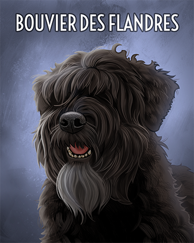 Bouvier Des Flandres Badge - Undiscovered World