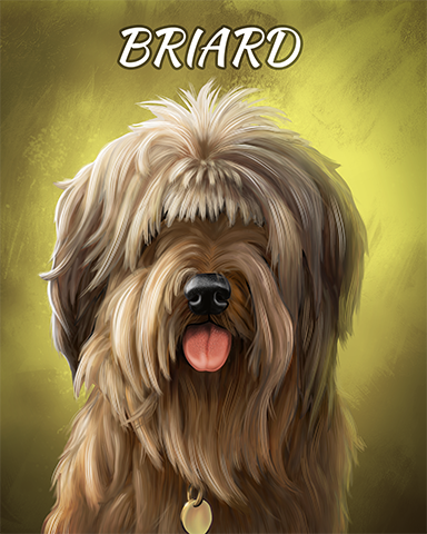 Briard Badge - Mahjong Safari HD